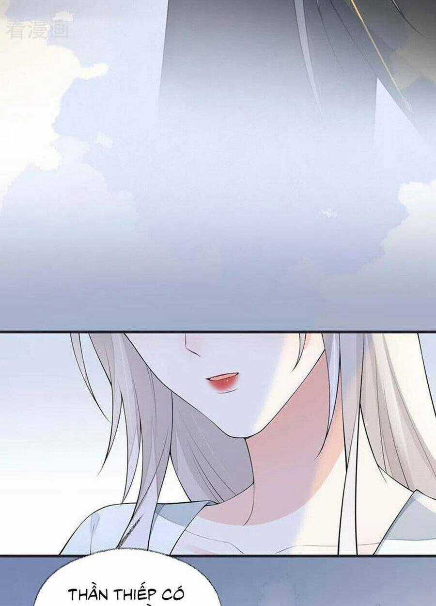 Thái Hậu Quân Hạ Thần Chapter 174 trang 29