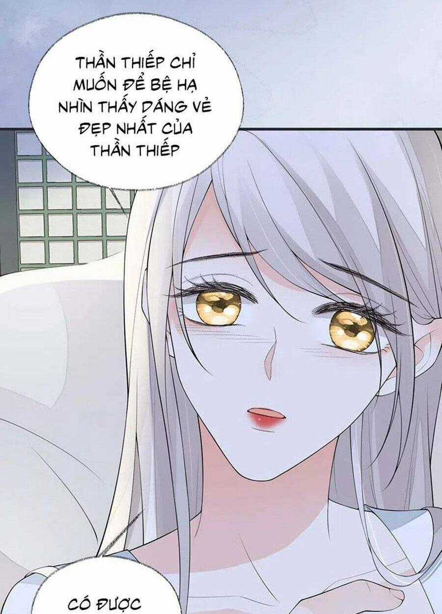 Thái Hậu Quân Hạ Thần Chapter 174 trang 34