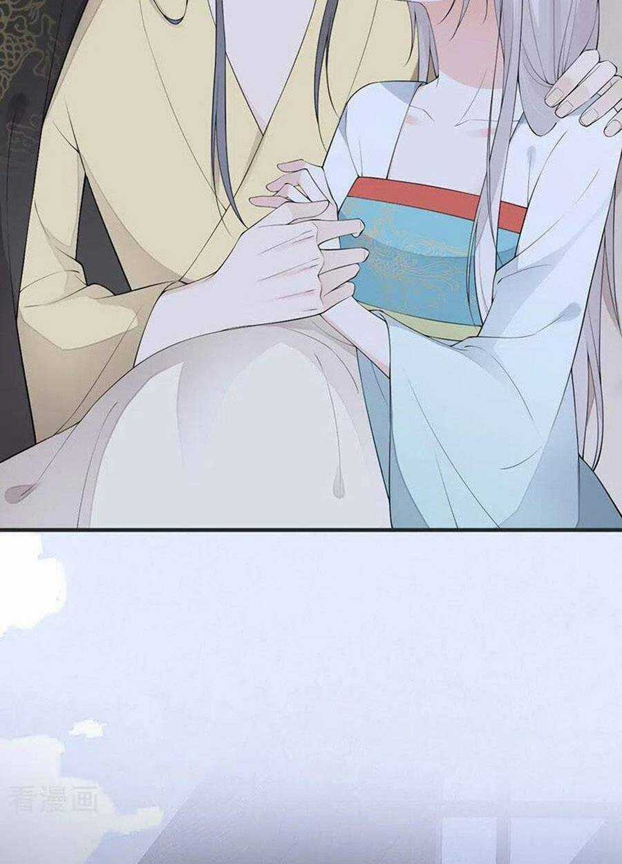 Thái Hậu Quân Hạ Thần Chapter 174 trang 37