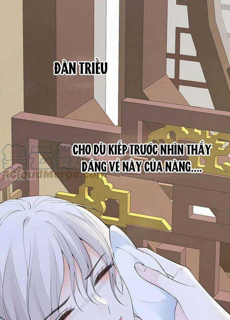 Thái Hậu Quân Hạ Thần Chapter 174 trang 39