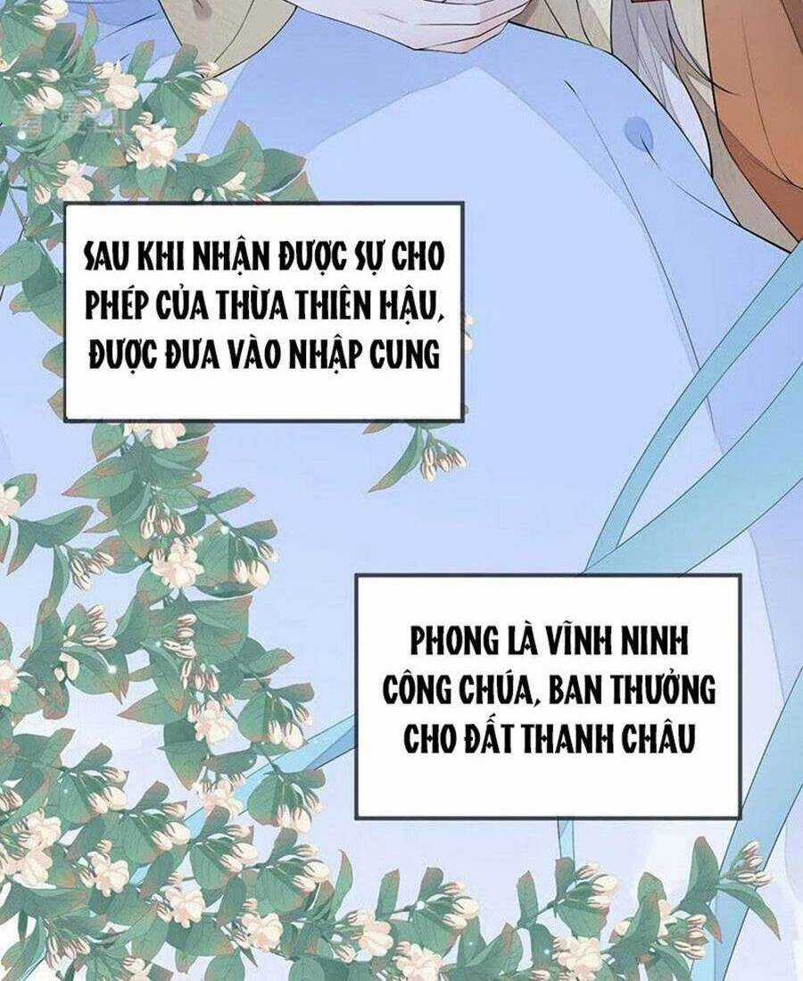 Thái Hậu Quân Hạ Thần Chapter 174 trang 49