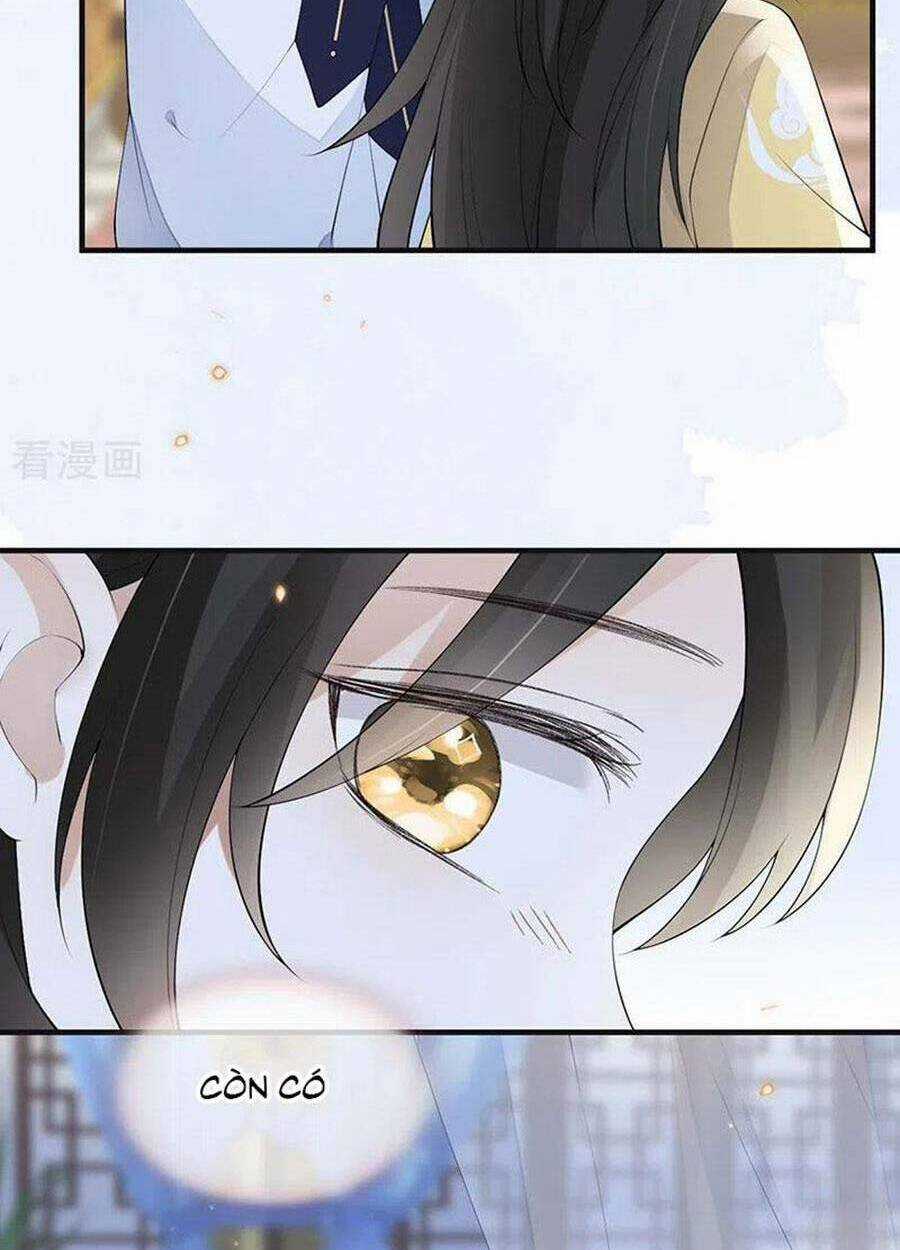 Thái Hậu Quân Hạ Thần Chapter 175 trang 25