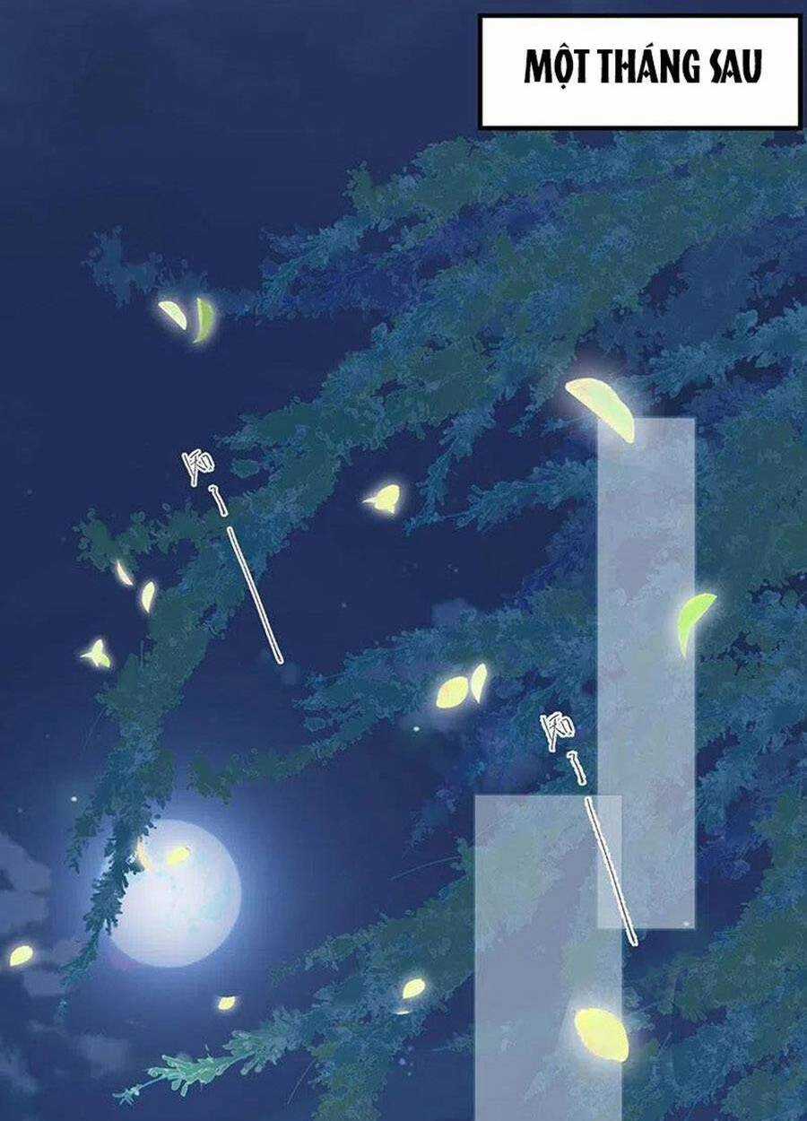 Thái Hậu Quân Hạ Thần Chapter 175 trang 28