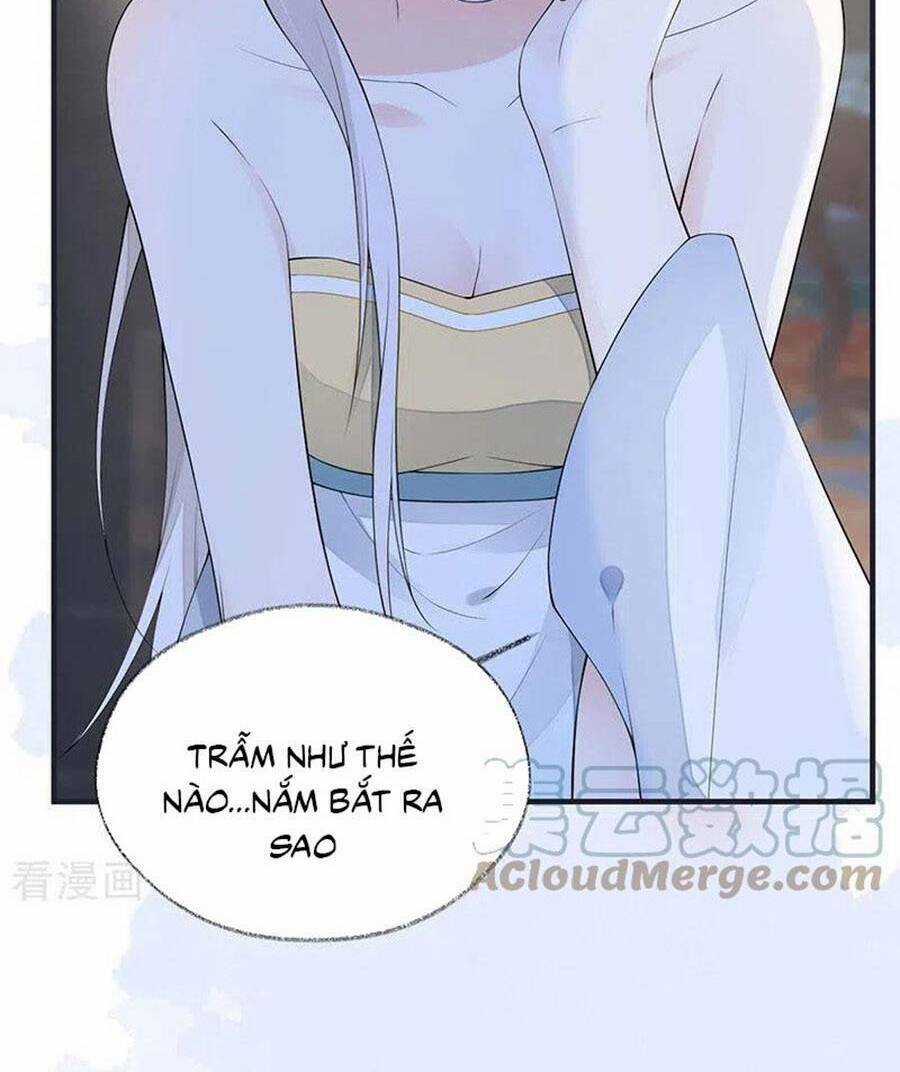 Thái Hậu Quân Hạ Thần Chapter 175 trang 47