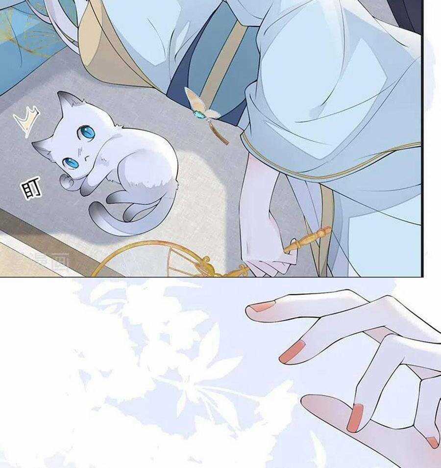 Thái Hậu Quân Hạ Thần Chapter 177 trang 18