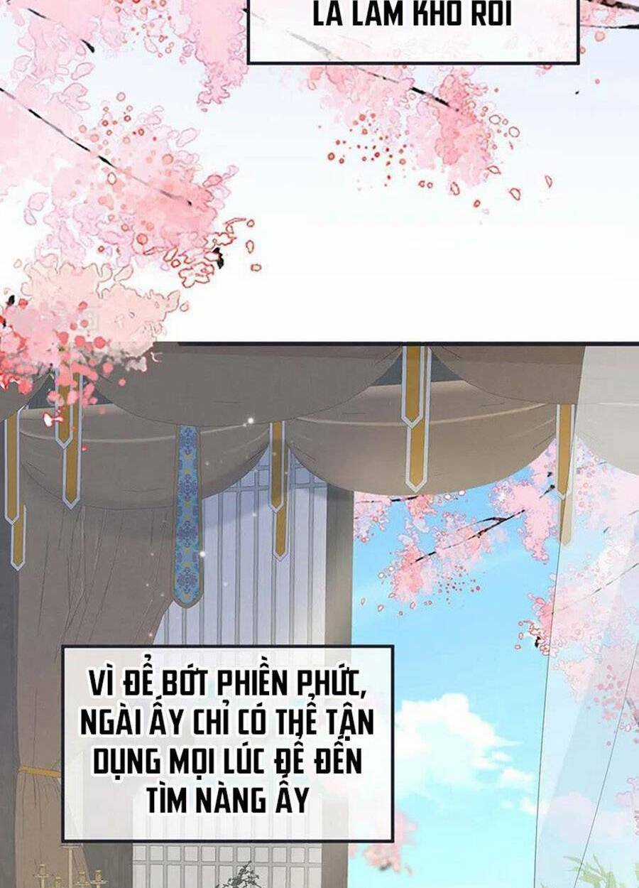 Thái Hậu Quân Hạ Thần Chapter 177 trang 49