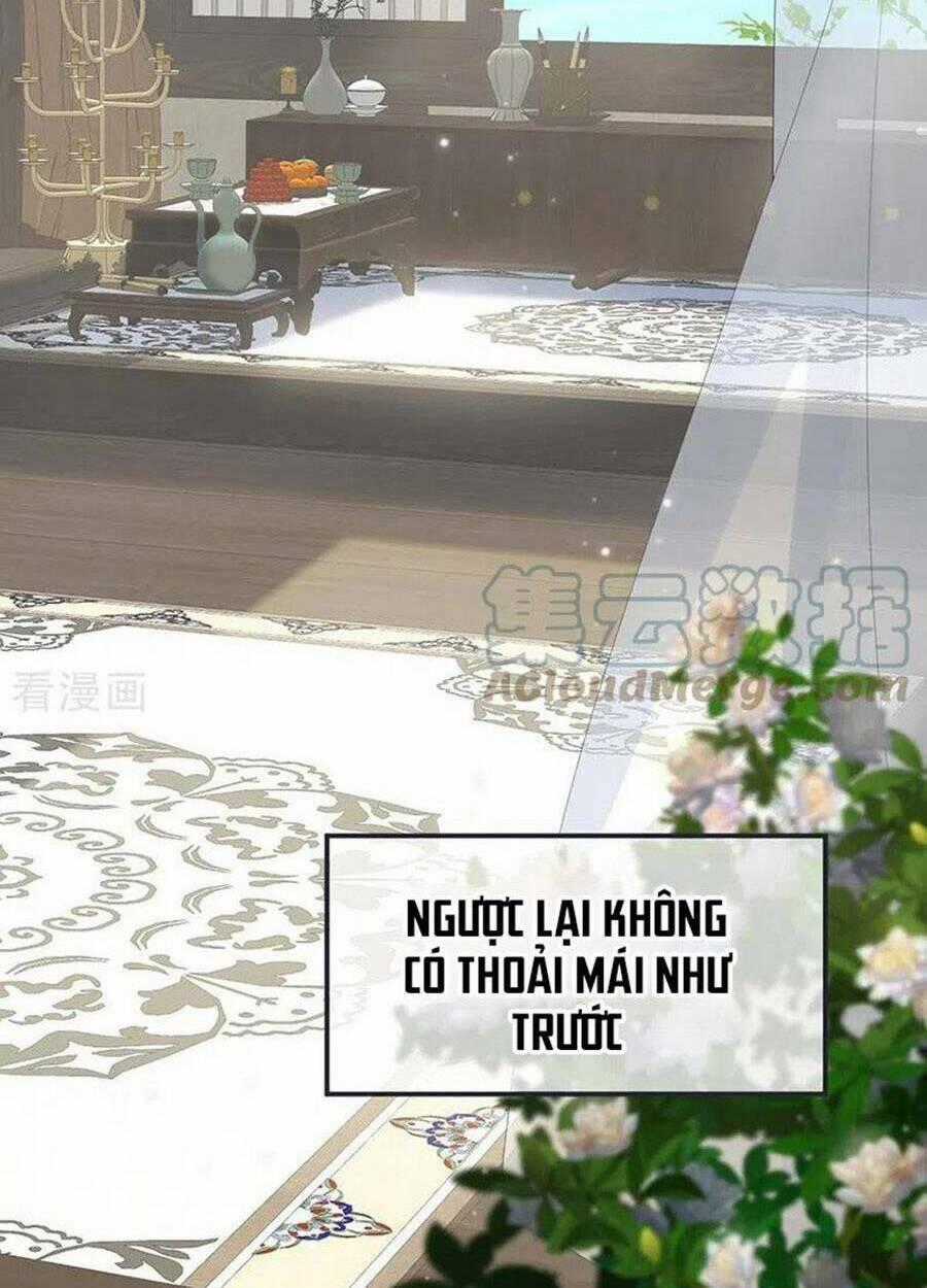 Thái Hậu Quân Hạ Thần Chapter 177 trang 50