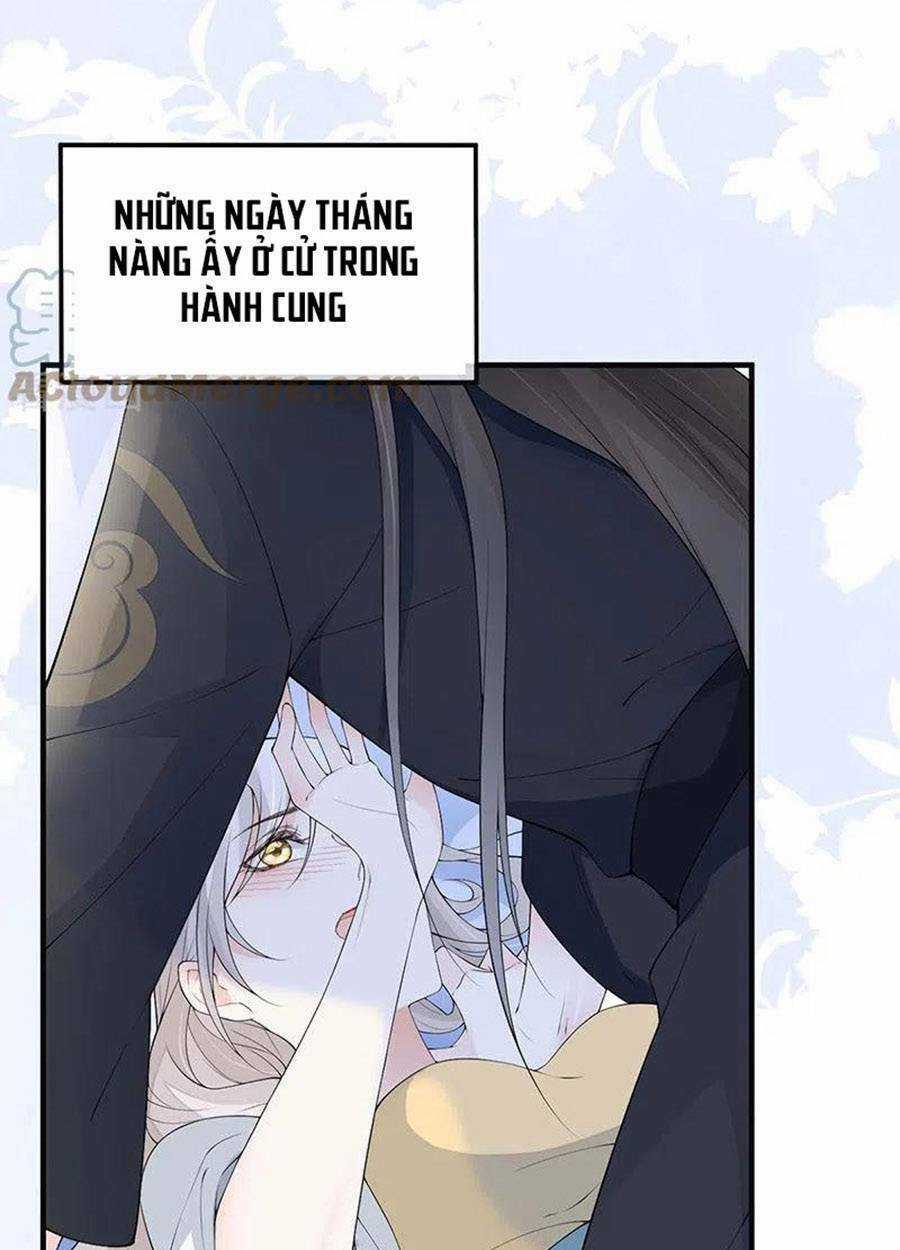 Thái Hậu Quân Hạ Thần Chapter 178 trang 12