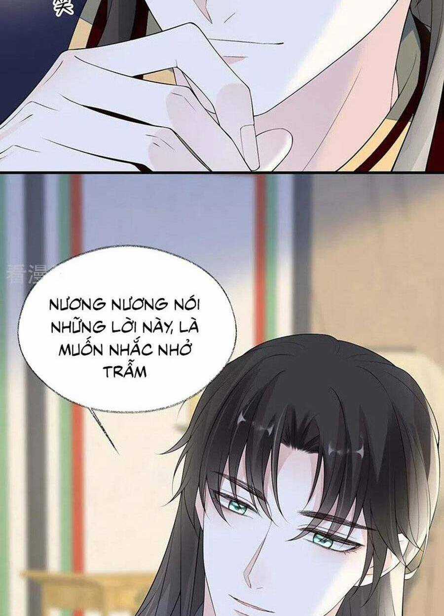 Thái Hậu Quân Hạ Thần Chapter 178 trang 15