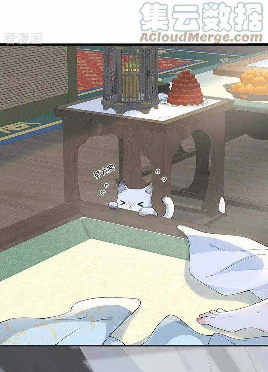 Thái Hậu Quân Hạ Thần Chapter 178 trang 35