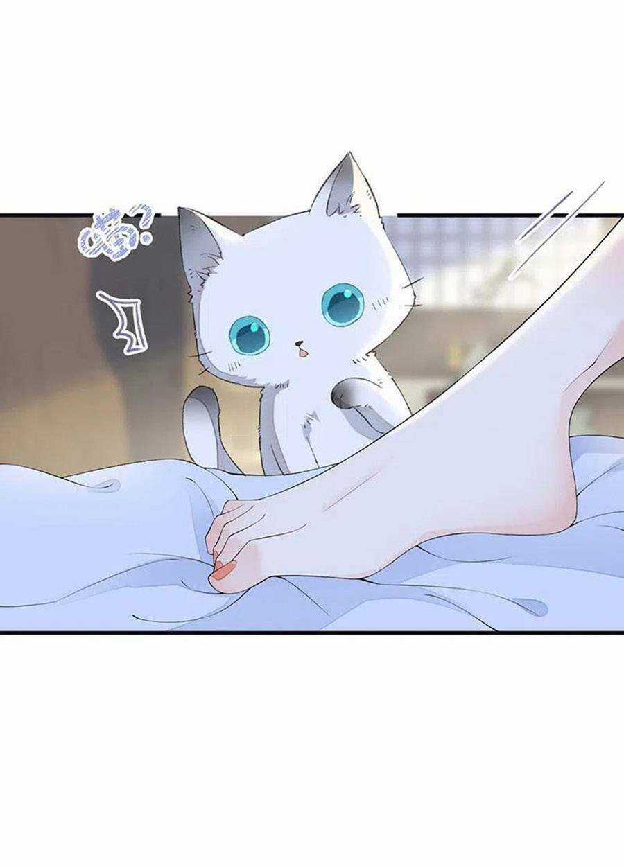 Thái Hậu Quân Hạ Thần Chapter 178 trang 42