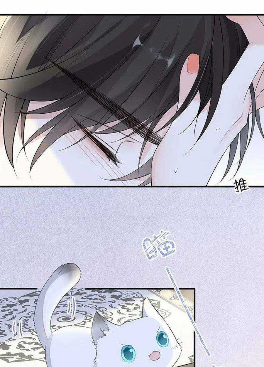 Thái Hậu Quân Hạ Thần Chapter 178 trang 43