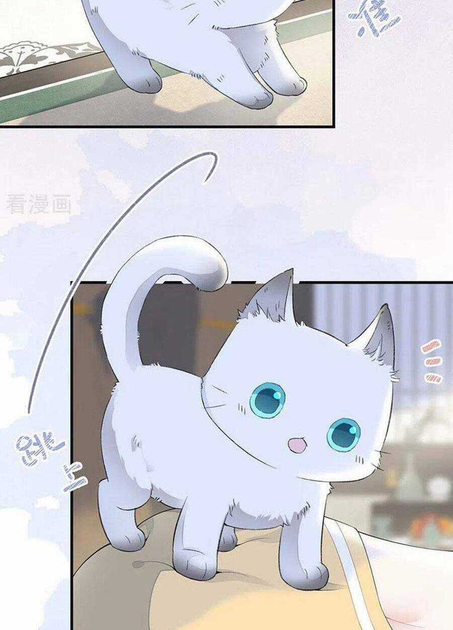 Thái Hậu Quân Hạ Thần Chapter 178 trang 44