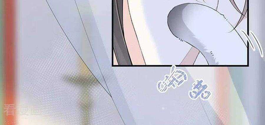 Thái Hậu Quân Hạ Thần Chapter 178 trang 46