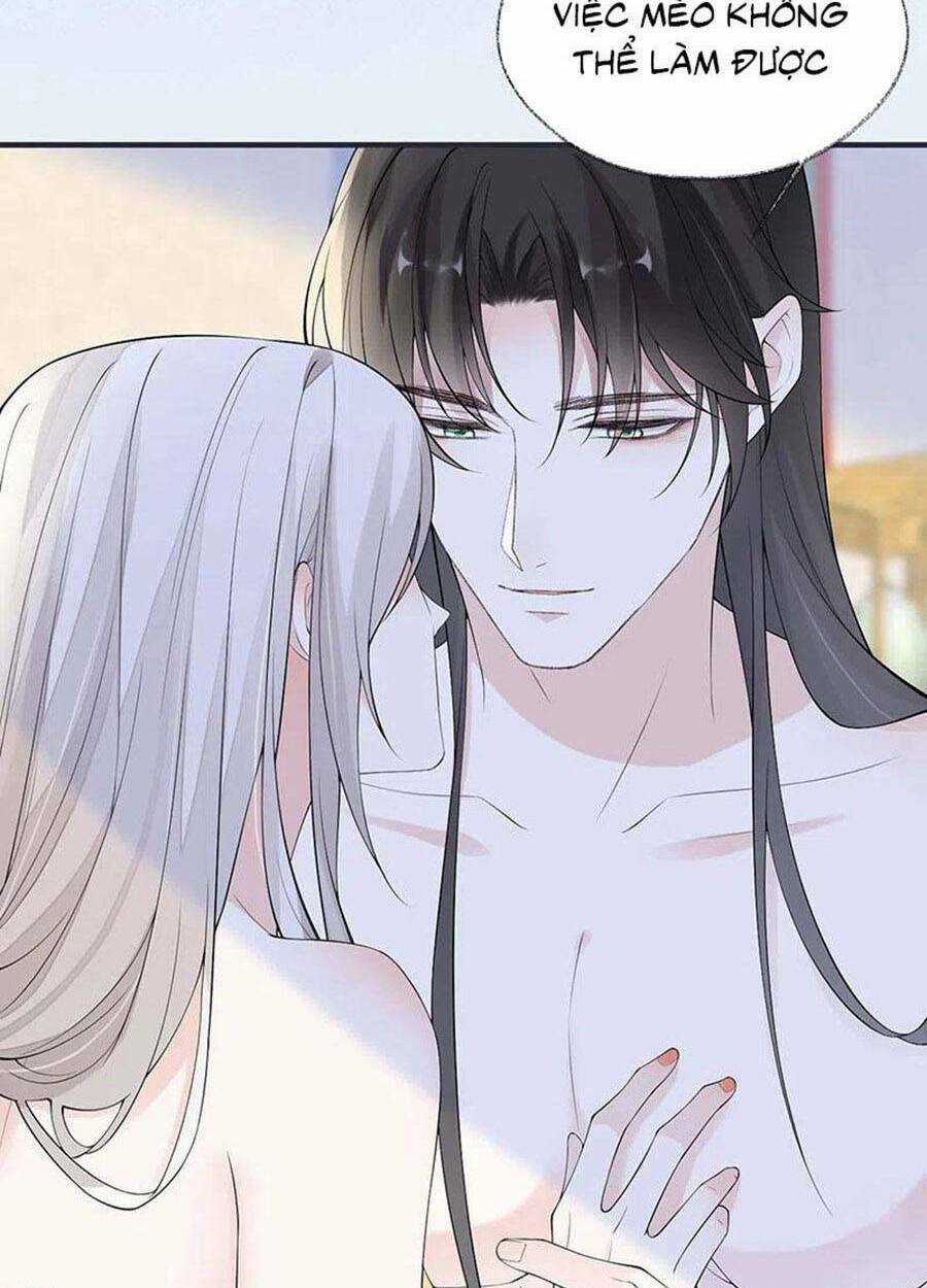 Thái Hậu Quân Hạ Thần Chapter 179 trang 11