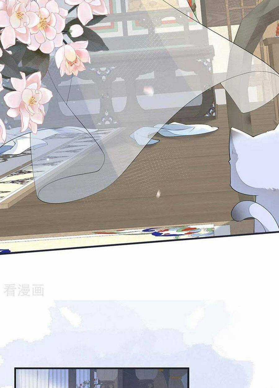 Thái Hậu Quân Hạ Thần Chapter 179 trang 15