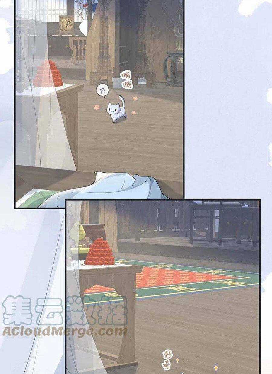 Thái Hậu Quân Hạ Thần Chapter 179 trang 16