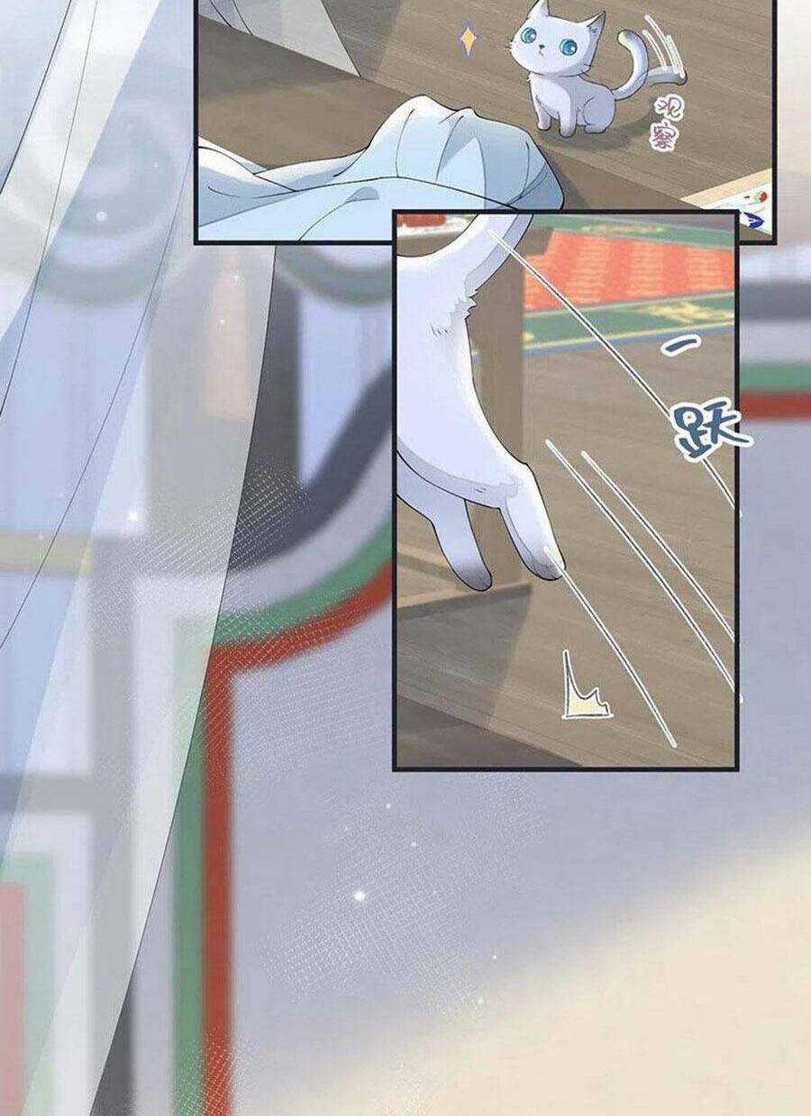 Thái Hậu Quân Hạ Thần Chapter 179 trang 17