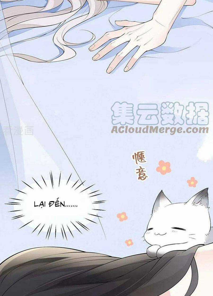 Thái Hậu Quân Hạ Thần Chapter 179 trang 19