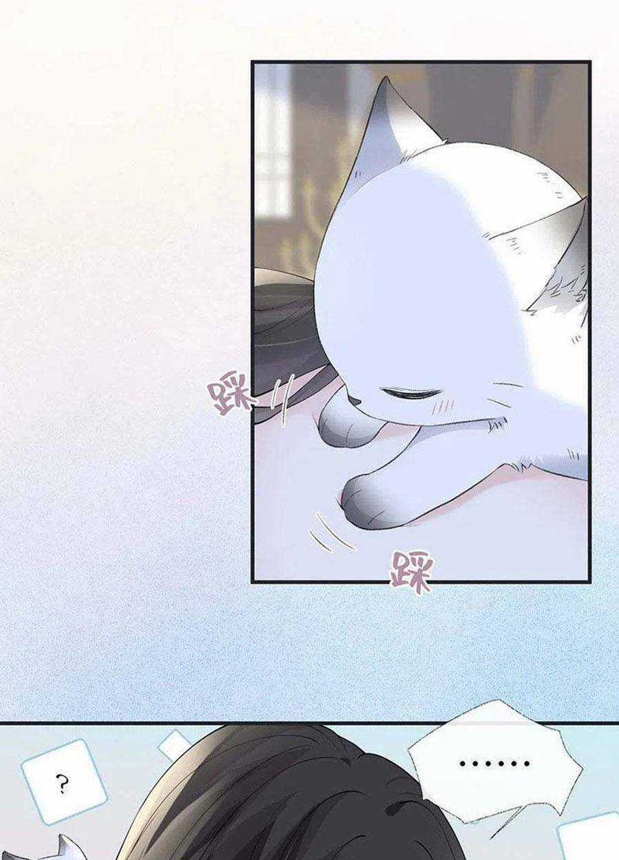 Thái Hậu Quân Hạ Thần Chapter 179 trang 23