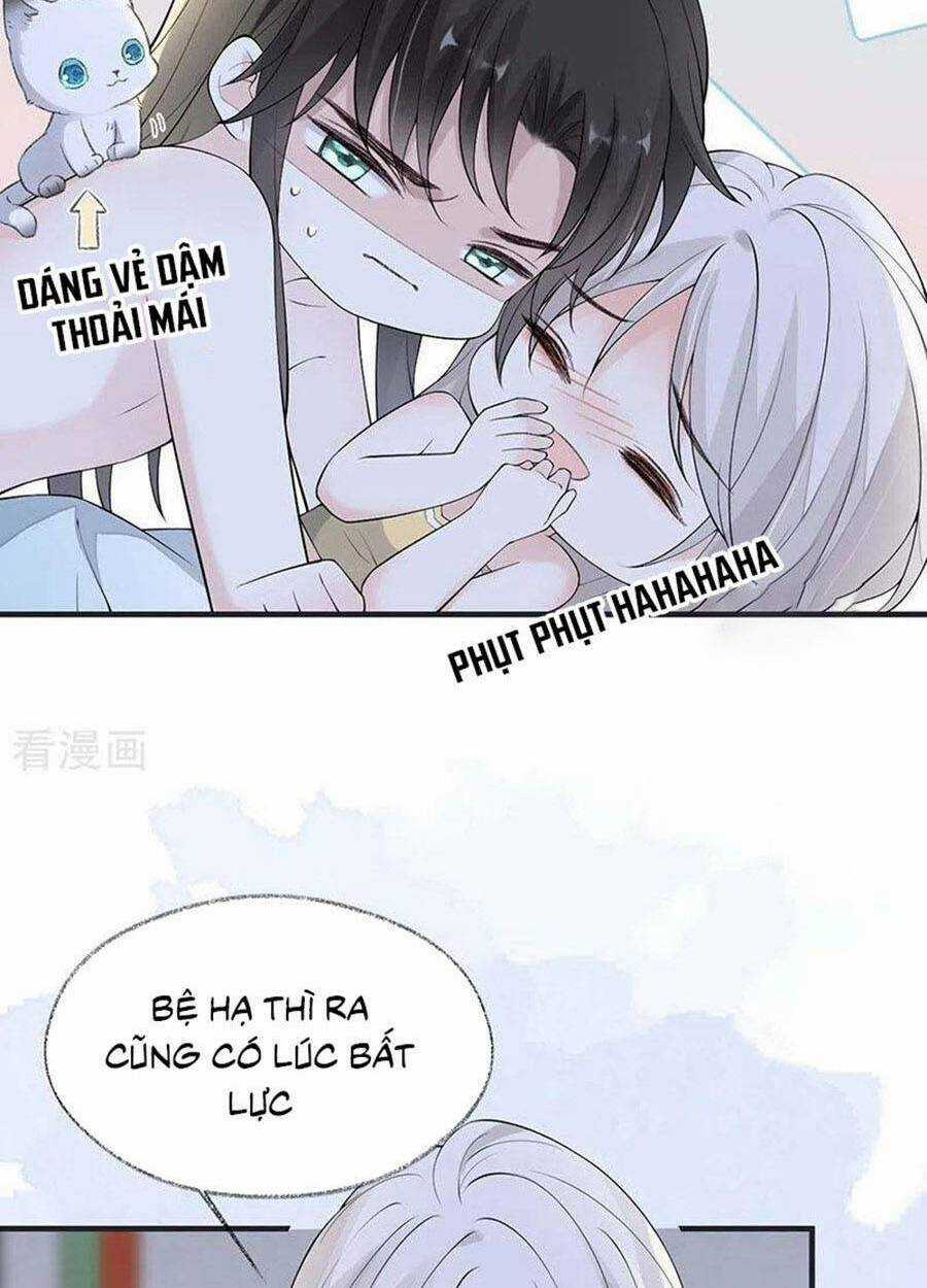 Thái Hậu Quân Hạ Thần Chapter 179 trang 24