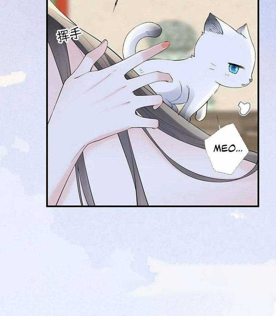 Thái Hậu Quân Hạ Thần Chapter 179 trang 30