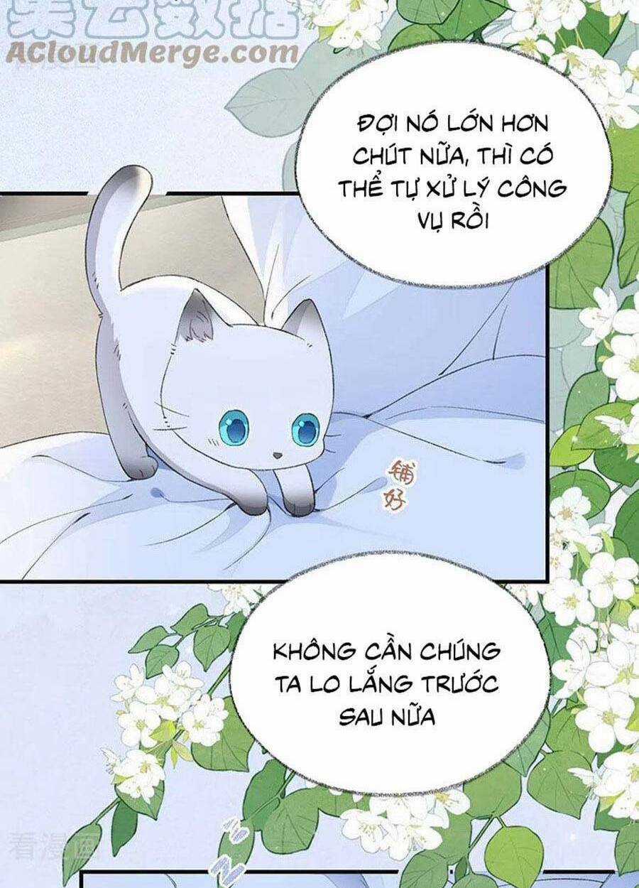 Thái Hậu Quân Hạ Thần Chapter 179 trang 39