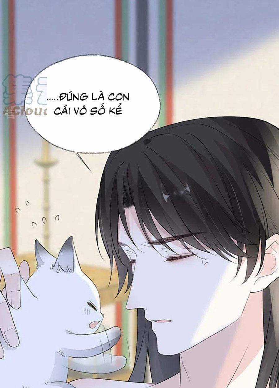 Thái Hậu Quân Hạ Thần Chapter 179 trang 4