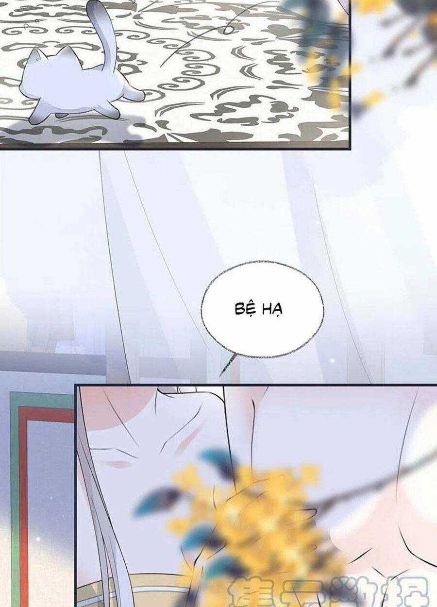 Thái Hậu Quân Hạ Thần Chapter 179 trang 6