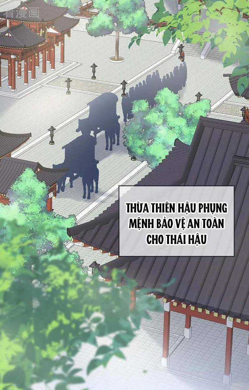 Thái Hậu Quân Hạ Thần Chapter 180 trang 11