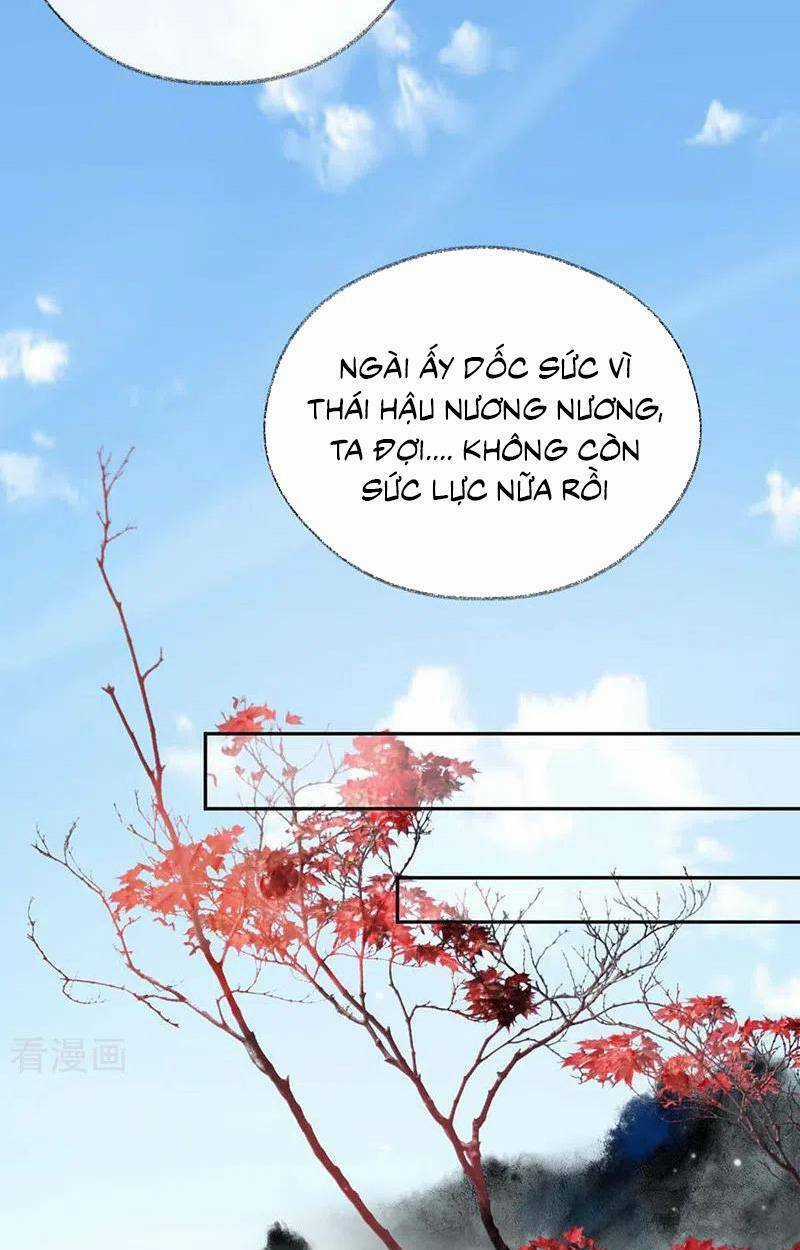 Thái Hậu Quân Hạ Thần Chapter 180 trang 24