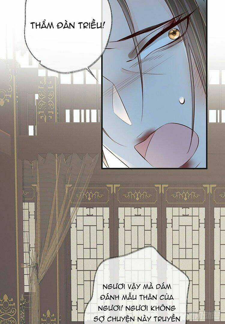 Thái Hậu Quân Hạ Thần Chapter 19 trang 4