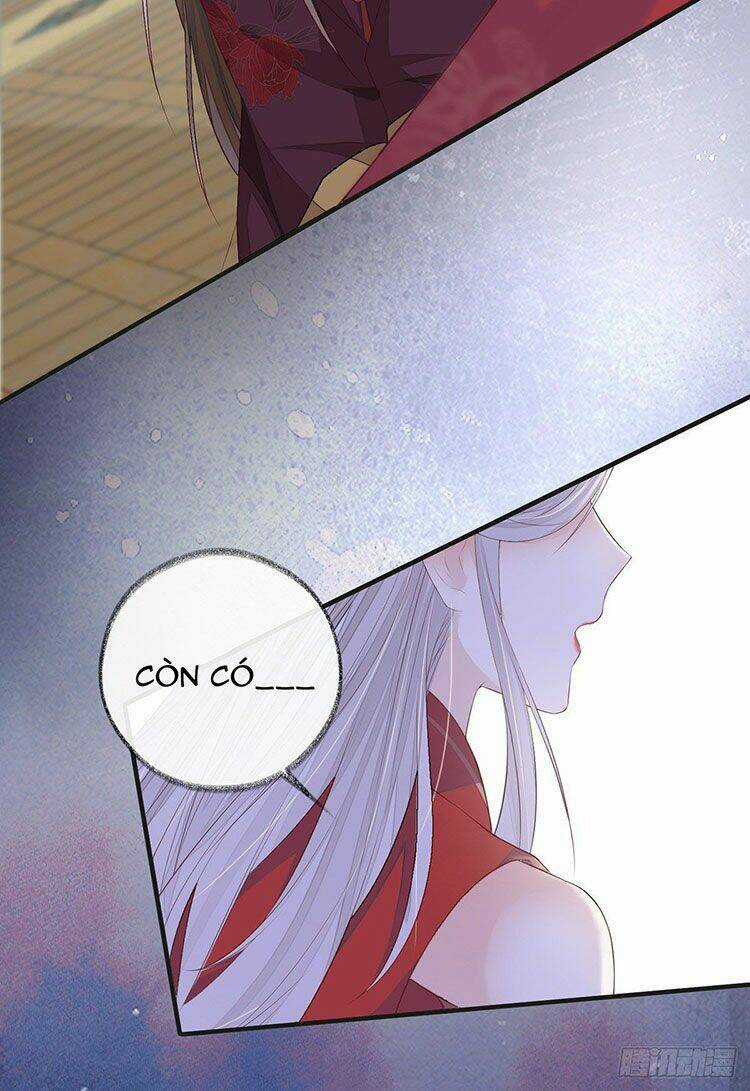 Thái Hậu Quân Hạ Thần Chapter 19 trang 41