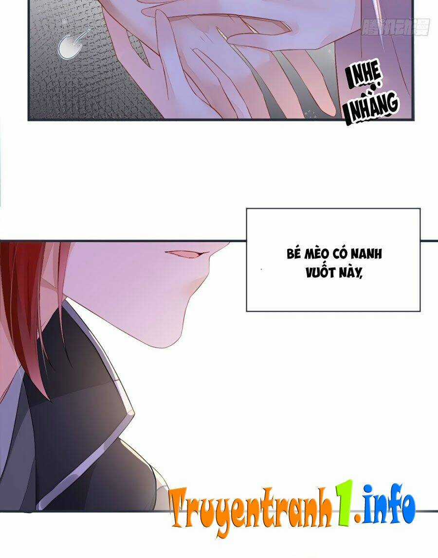 Thái Hậu Quân Hạ Thần Chapter 5 trang 14