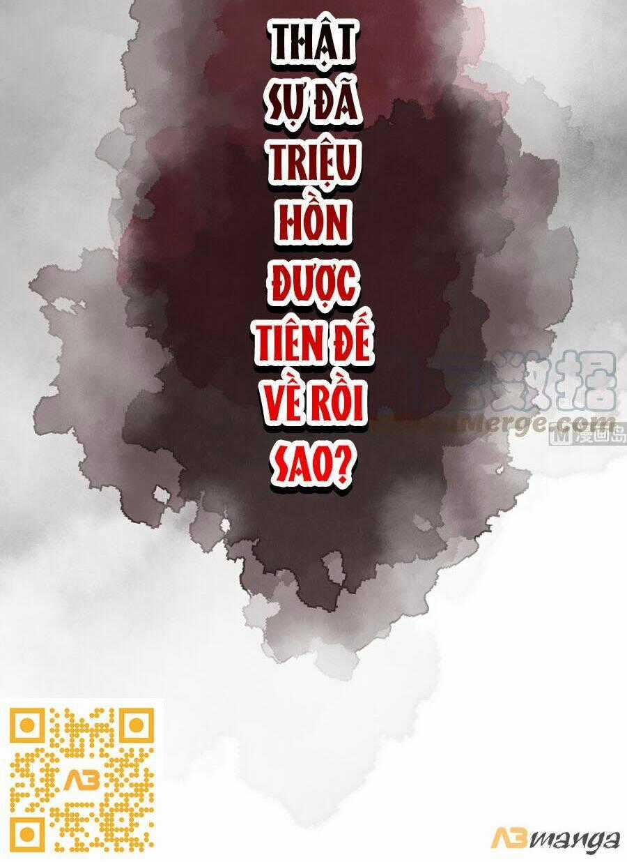 Thái Hậu Quân Hạ Thần Chapter 51 trang 34