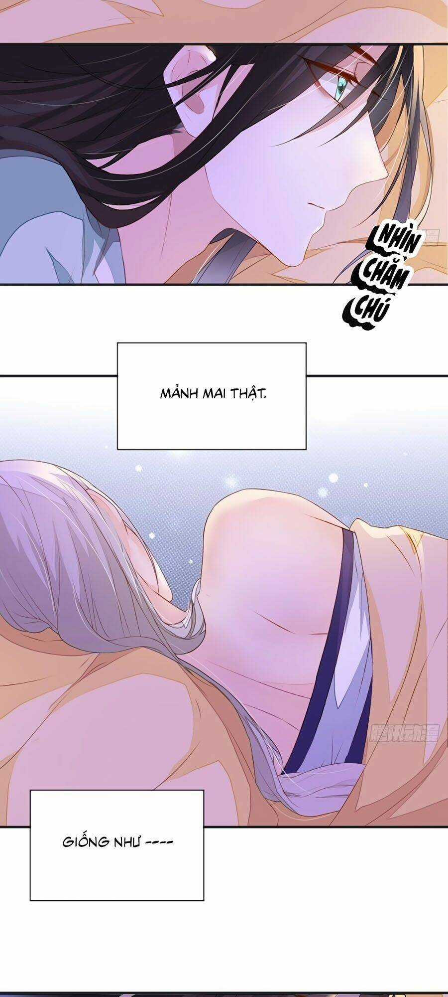 Thái Hậu Quân Hạ Thần Chapter 6 trang 16