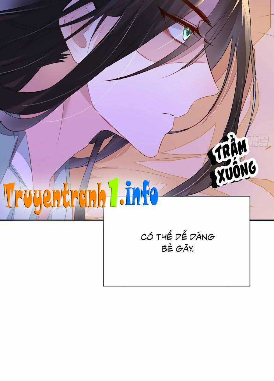 Thái Hậu Quân Hạ Thần Chapter 6 trang 17