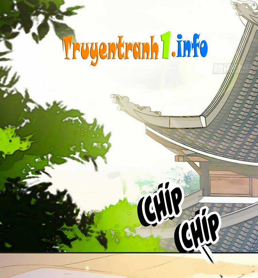 Thái Hậu Quân Hạ Thần Chapter 6 trang 23