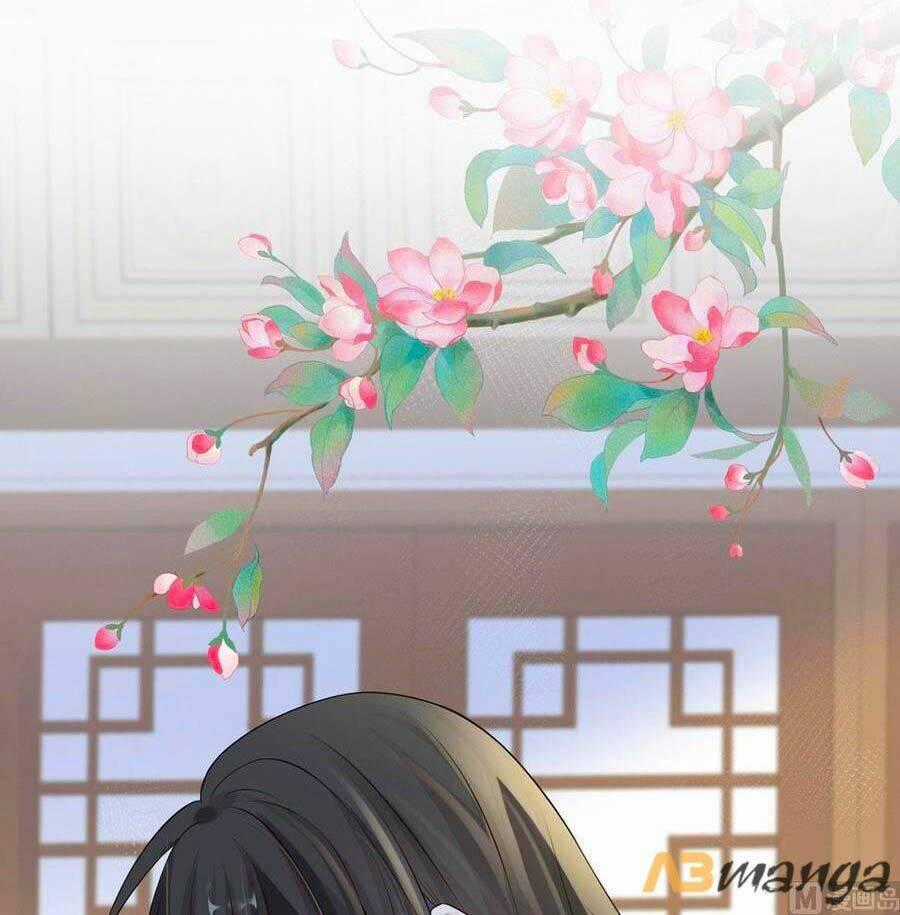 Thái Hậu Quân Hạ Thần Chapter 67 trang 0
