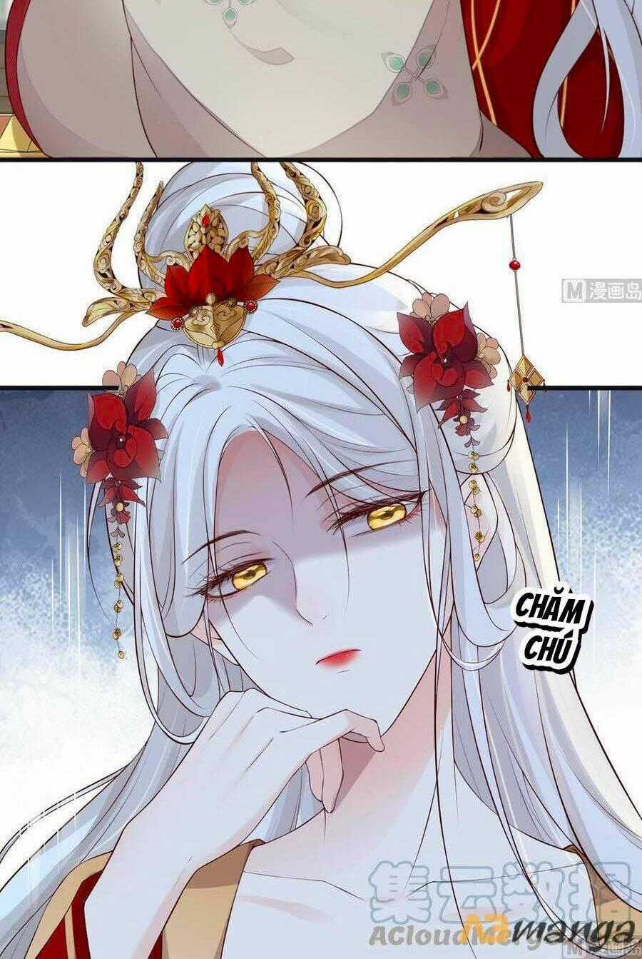 Thái Hậu Quân Hạ Thần Chapter 70 trang 1