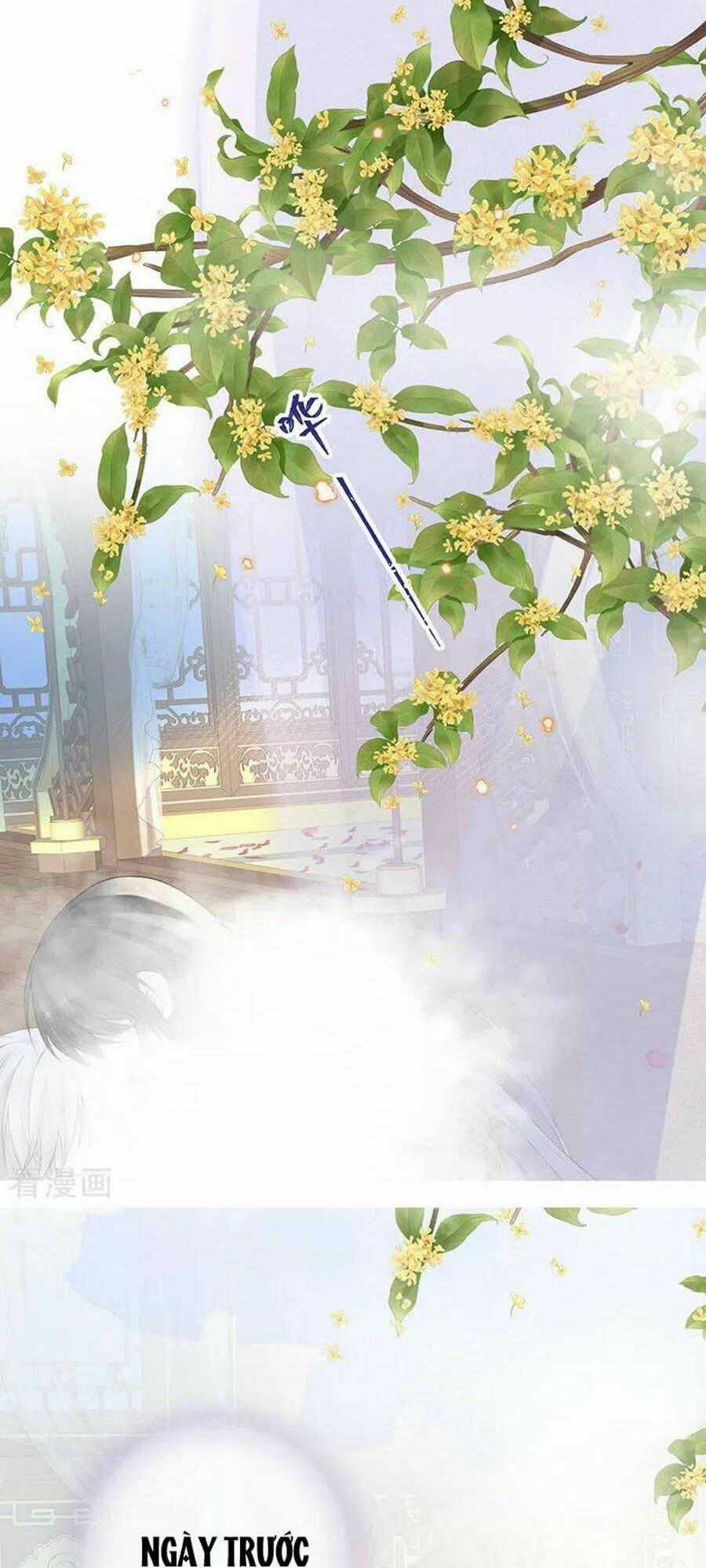 Thái Hậu Quân Hạ Thần Chapter 87 trang 0