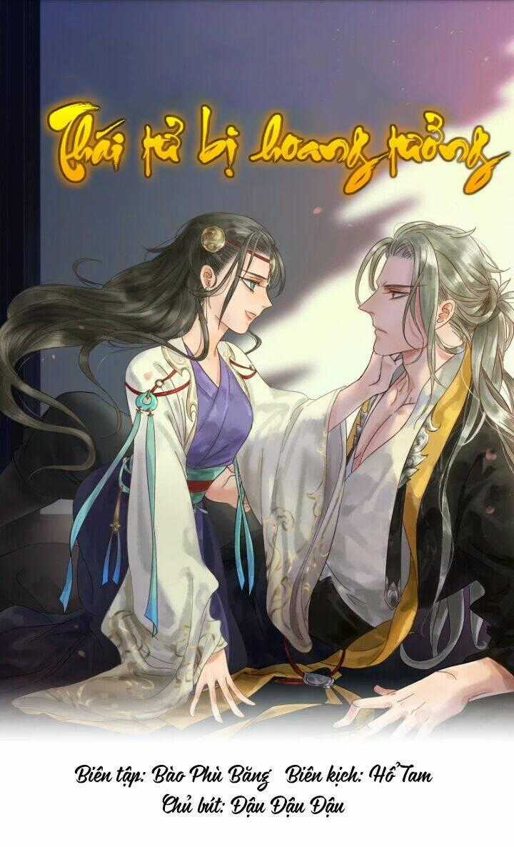 Thái Tử Bị Hoang Tưởng Chapter 8 trang 0