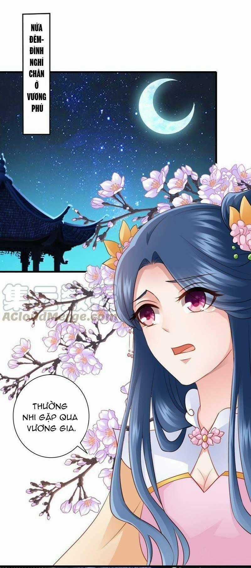 Thái Tử Điện Hạ Có Tin Vui Chapter 58 trang 0