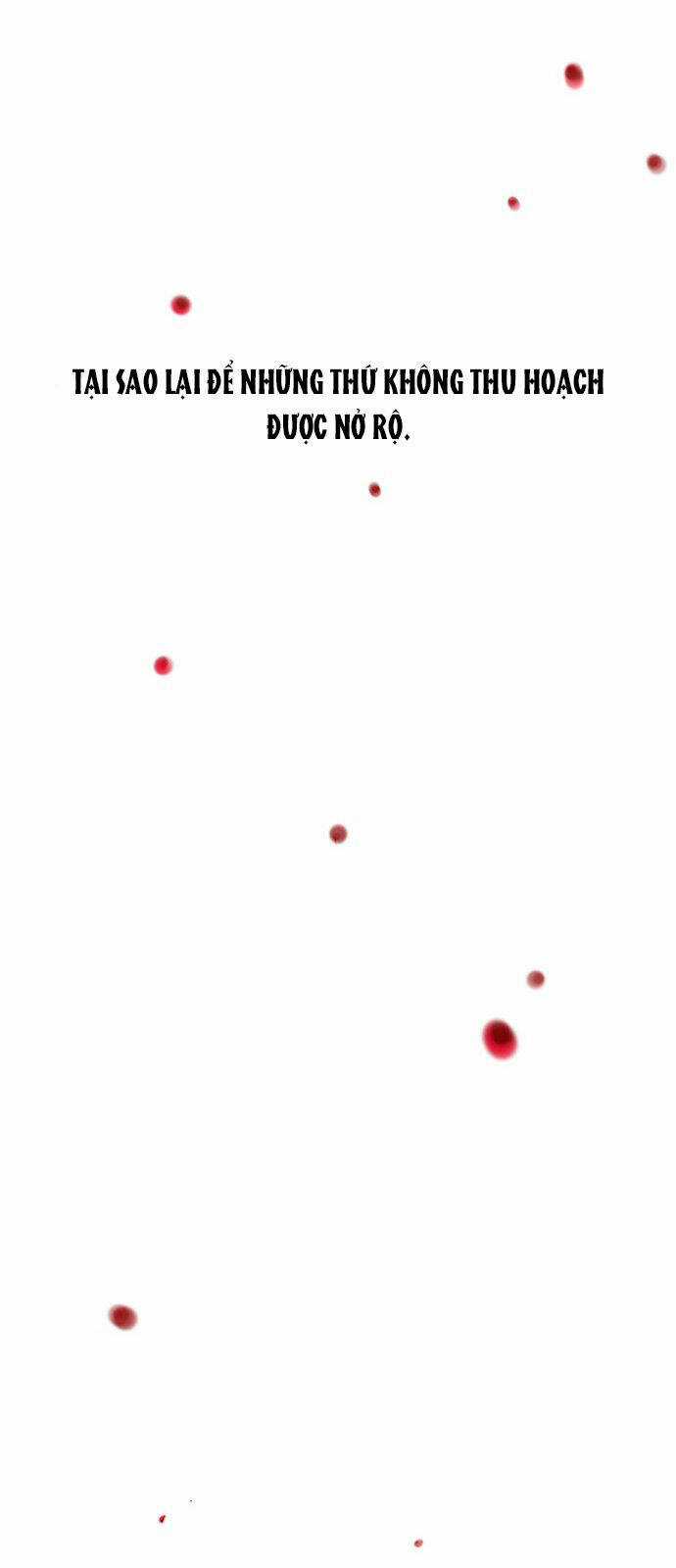 Thái Tử Myolyeong Chapter 50.1 trang 28