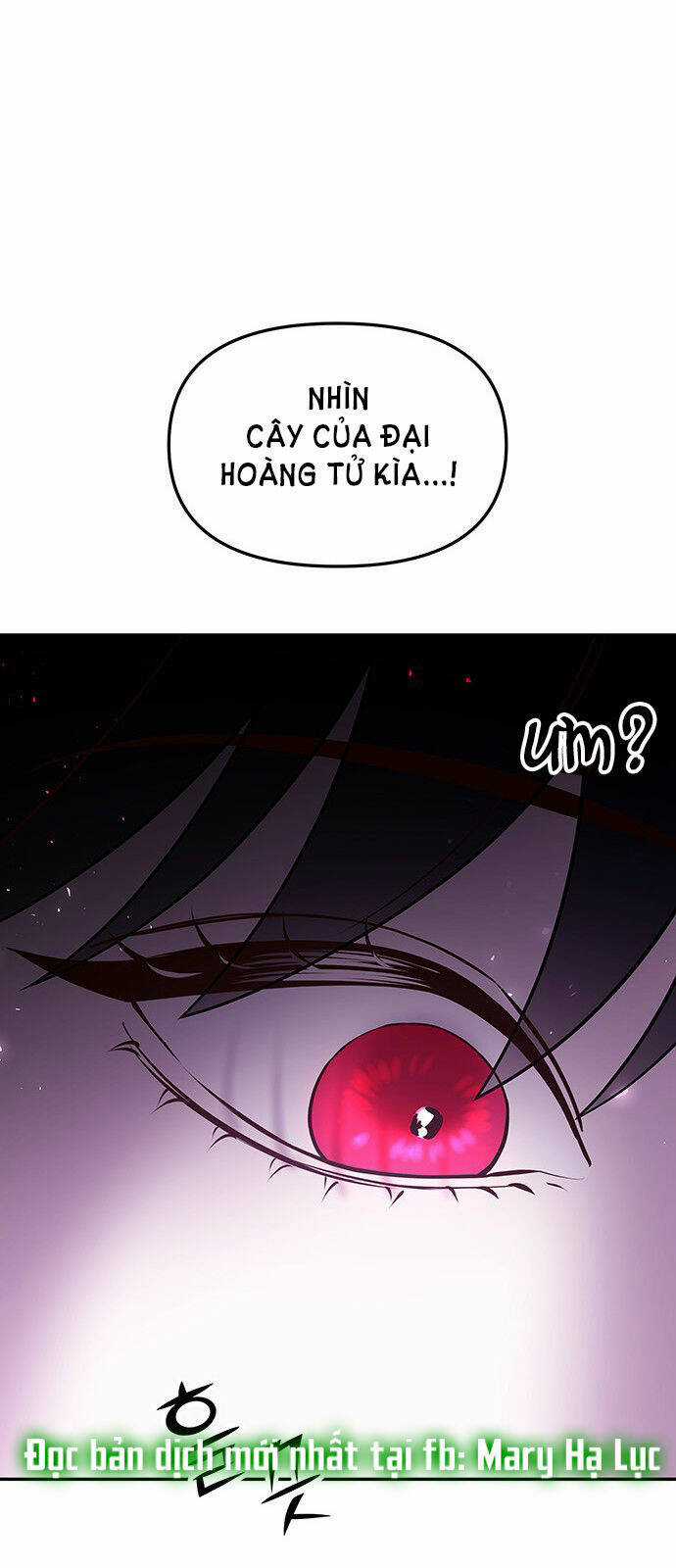 Thái Tử Myolyeong Chapter 50.2 trang 56