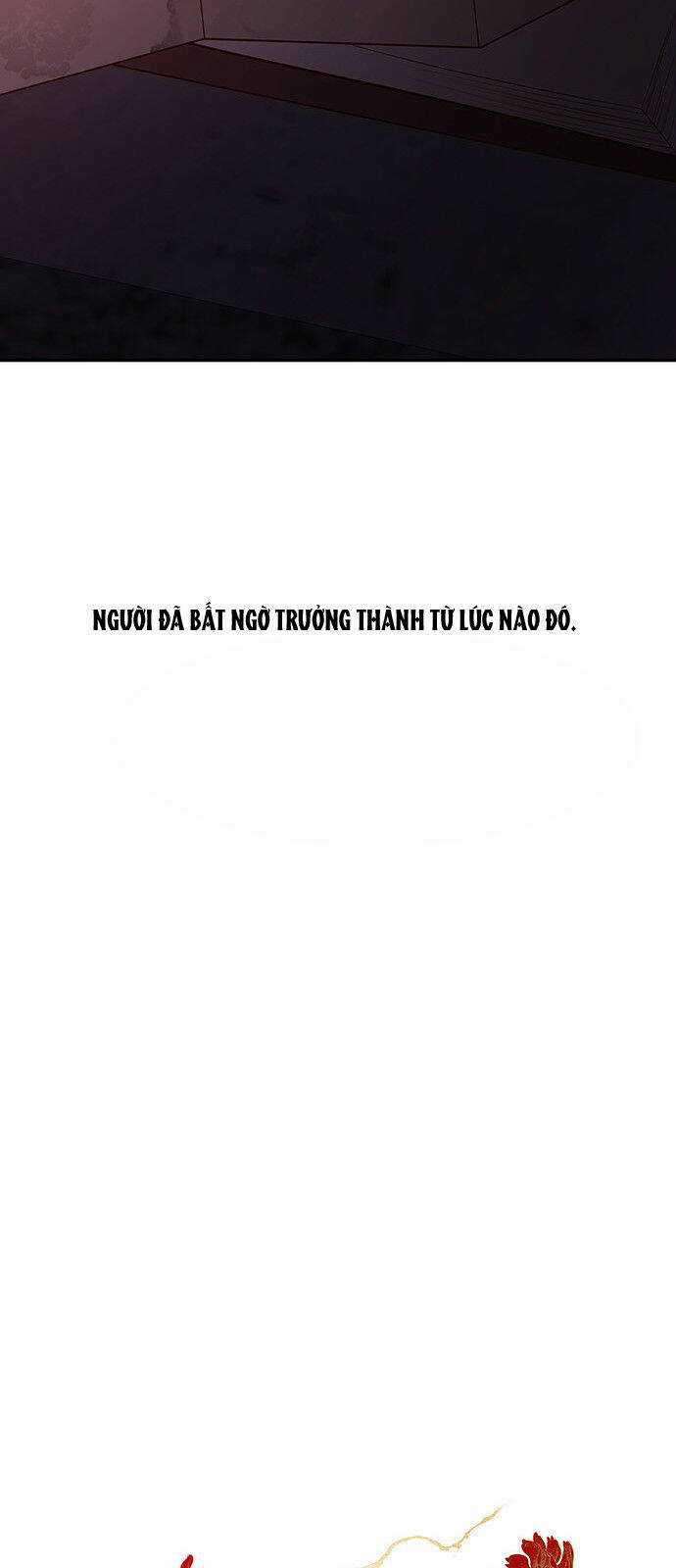 Thái Tử Myolyeong Chapter 52.2 trang 41