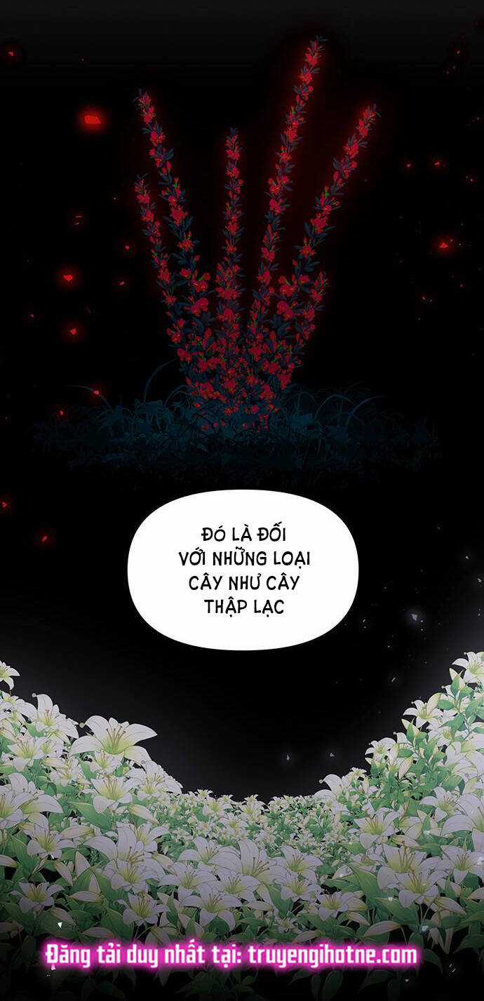 Thái Tử Myolyeong Chapter 80.2 trang 13