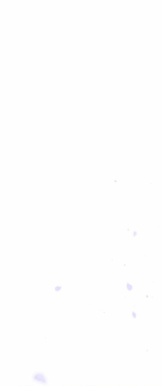 Thái Tử Myolyeong Chapter 80.2 trang 46