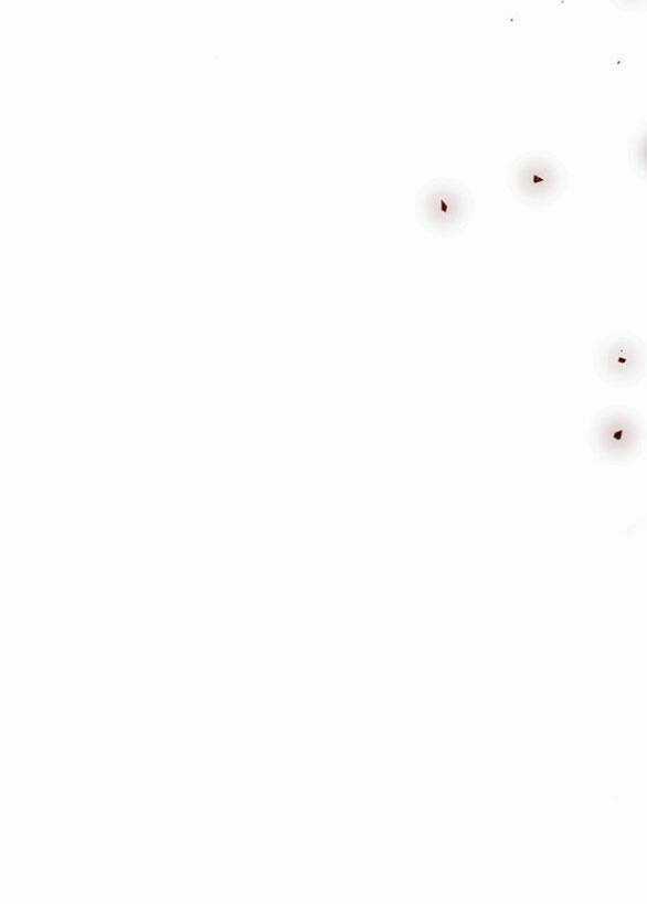 Thái Tử Myolyeong Chapter 99.2 trang 81