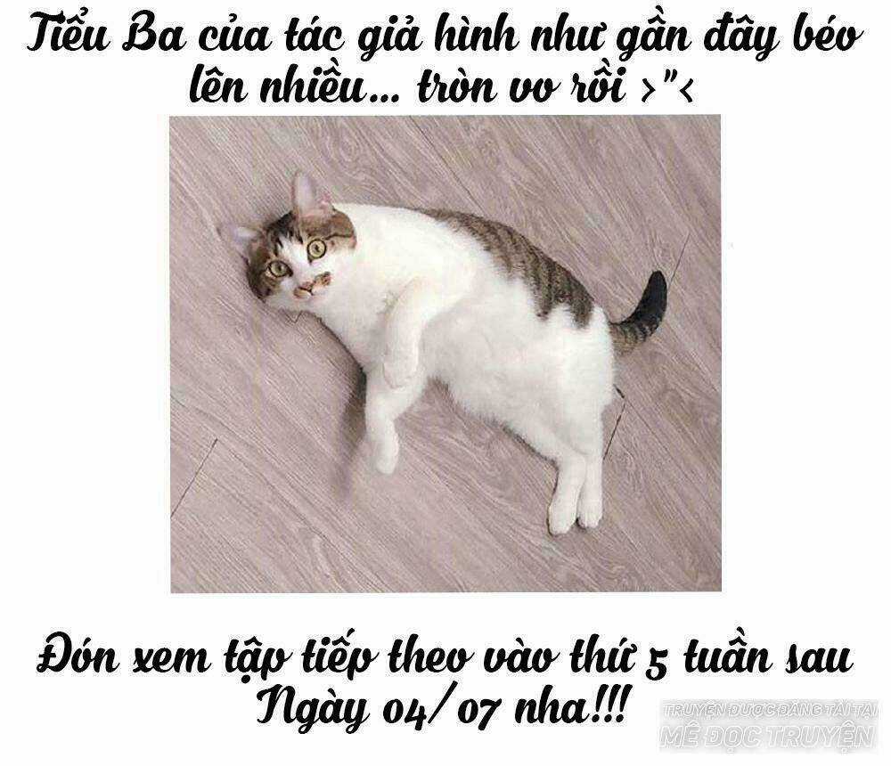 Thái Tử Phi Nhà Ta Thật Hung Hăng Chapter 14 trang 95